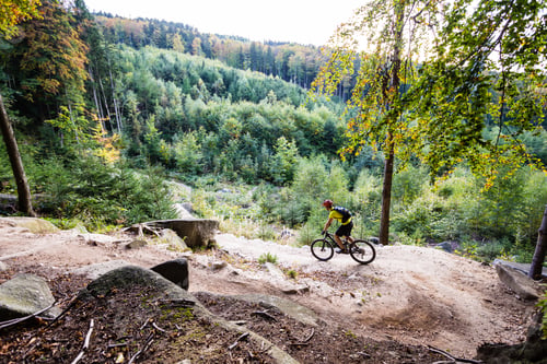 Preview: Mountain biker riding cycling in autumn forest