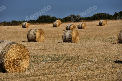 Preview: Straw bales on farmland with blue sky