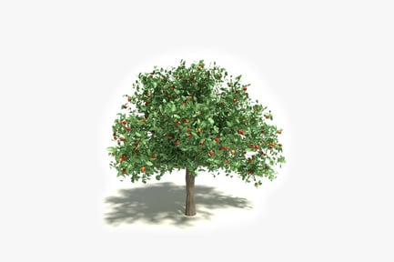 Preview: Leafy tree with red berries