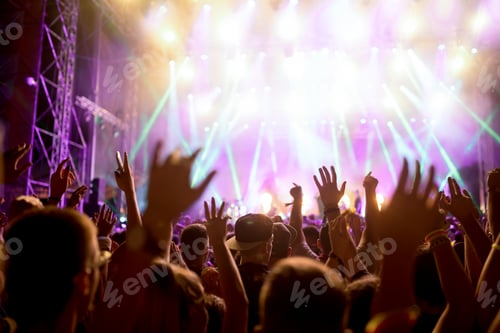 Preview: Portrait of happy crowd enjoying at music festival
