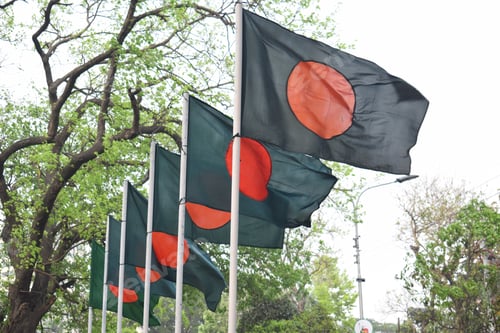Preview: Beautiful waving flag of Bangladesh