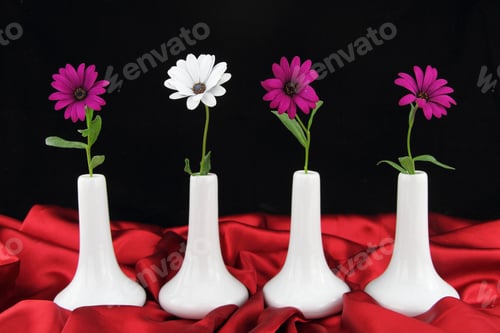 Preview: White vases with daisy flowers