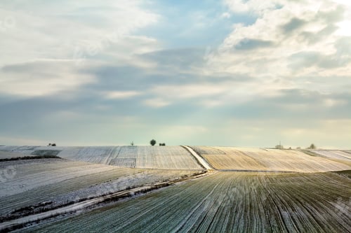 Preview: Sunrise over winter green field. Rural landscape.
