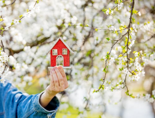 Preview: Female hand holding red little house near flowering tree.