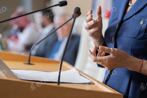 Preview: Politician Addressing Conference