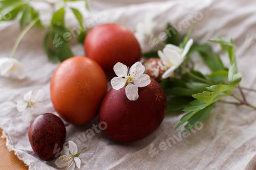 Preview: Happy Easter! Modern red easter eggs with spring flowers on rustic linen cloth on wooden table