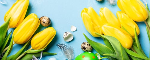 Preview: Yellow tulips background