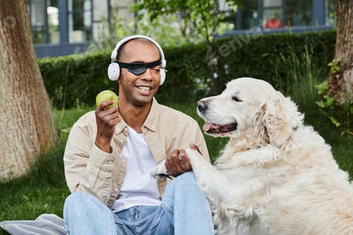 Preview: Harmonious melodies: a man and his dog
