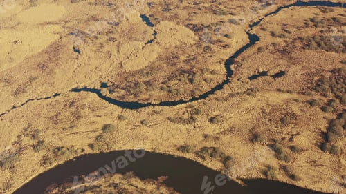 Preview: Aerial View Curved River In Early Spring Landscape. River bends and dry grass landscape. Top View Of