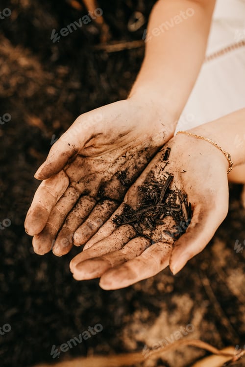 Preview: Overhead shot of soili in the hands of a girl in the forest