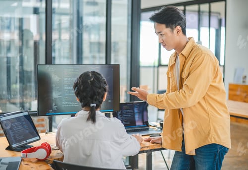 Preview: team programmer focuses on software development, site design