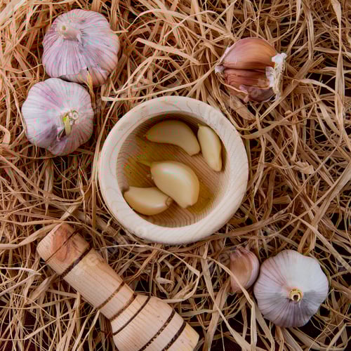 Preview: close-up view of peeled garlic cloves in garlic crusher and garlic bulbs on straw background