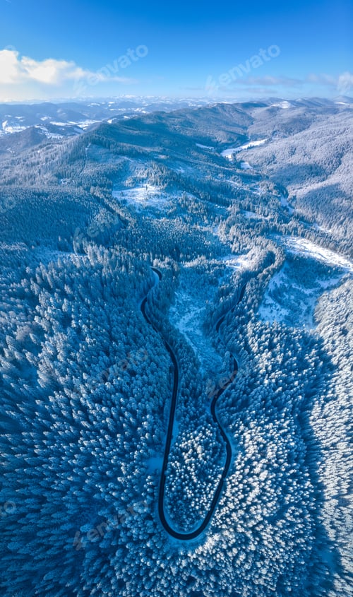Preview: Vertical aerial view of the curvy road crossing the forest