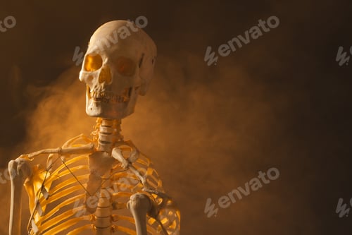 Preview: Plastic skeleton and smoke with copy space on black background