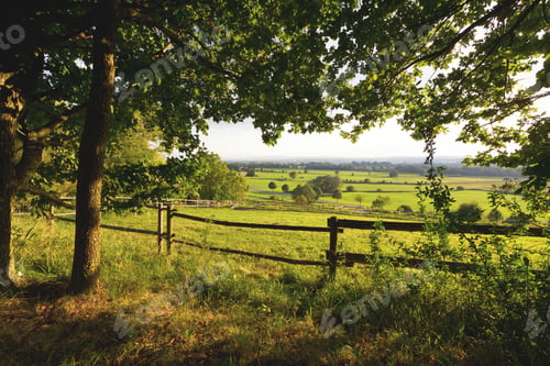 Preview: The green fields in summer, with a wooden fence separating it from the forest in Unterallgau,Germany