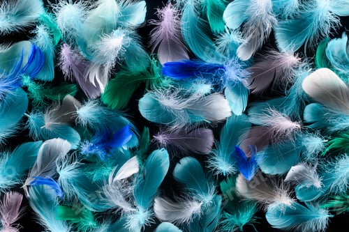 Preview: seamless background with colorful feathers isolated on black