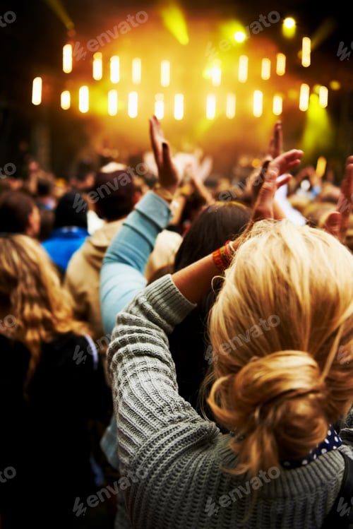 Preview: The crowd goes wild. Rearview shot of a crowd of young people at an outdoor music festival.
