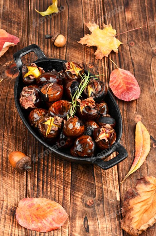 Preview: Tasty roasted chestnut.