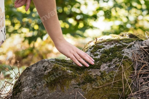 Preview: Close-up of a hand touching a stone