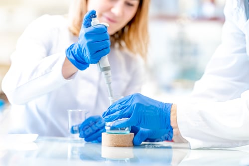 Preview: students of the science faculty will conduct chemical research in the laboratory
