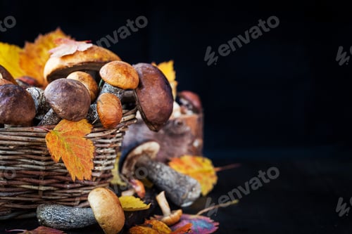 Preview: Wild forest edible mushrooms (boletus) in basket