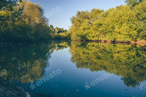 Preview: Autumn forest on lake coast