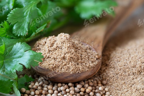 Preview: Wooden Spoon of Coriander Powder
