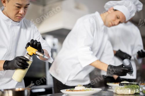 Preview: Group of cooks finishing main courses while working together in the kitchen