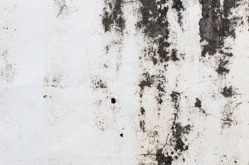 Preview: Light Gray Stucco Wall Texture. Abstract Background