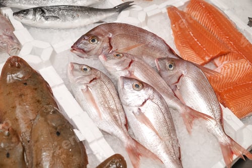 Preview: salmon in the fish market