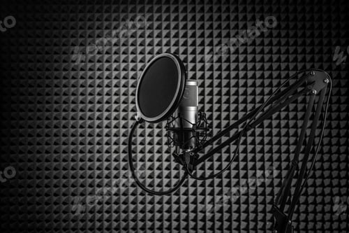 Preview: Professional condenser microphone on the stand. Recording studio with noise cancelling wall.
