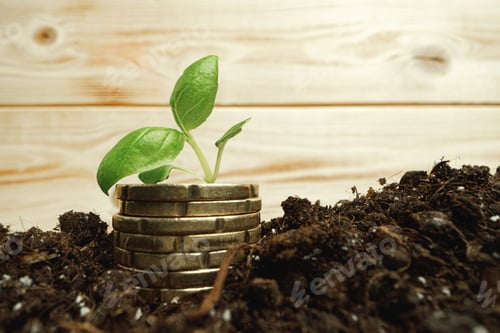 Preview: Small sprouts on stacked coins in soil close up