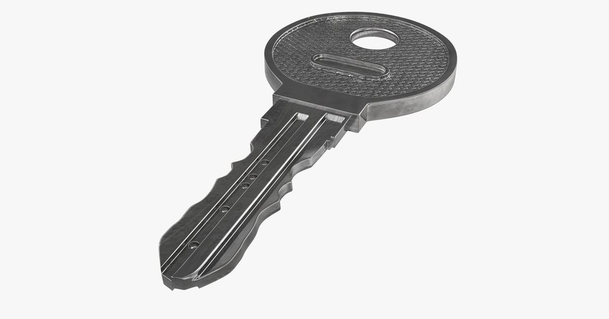 Circular key with central hole and side notches 3D, Incl. access & hole ...