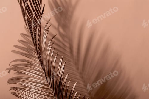 Preview: Palm Frond and Shadow on Brown Background