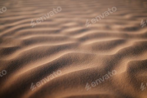 Preview: Sand texture on a beach, desert dunes background