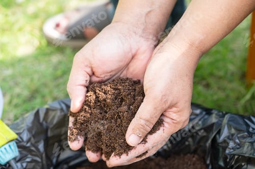 Preview: Hand holding peat moss organic matter improve soil for agriculture organic plant growing, ecology