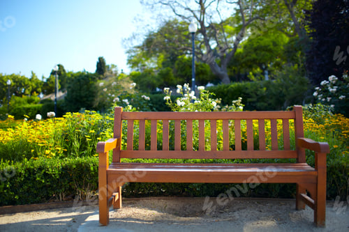 Preview: Bench in the park