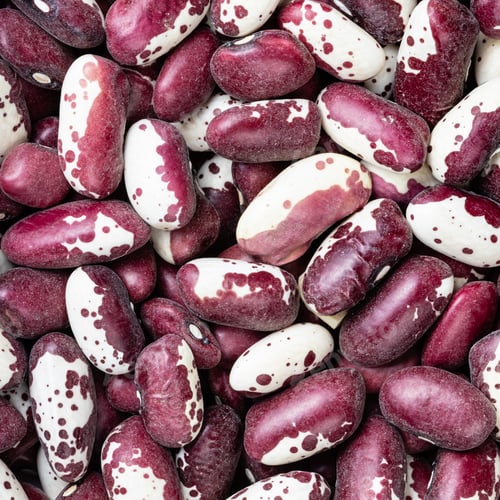 Preview: red speckled kidney beans close up