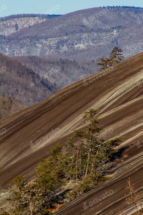 Stone Mountain