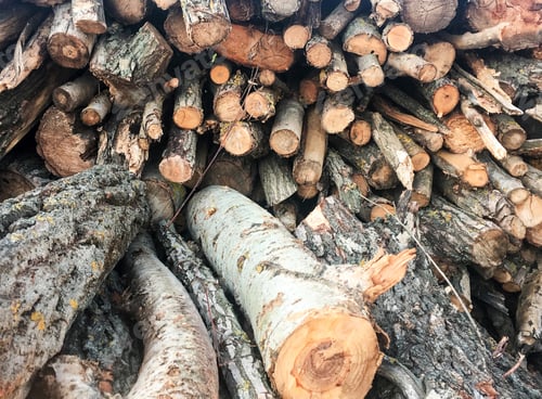 Preview: Stacked Logs Texture, Natural Background