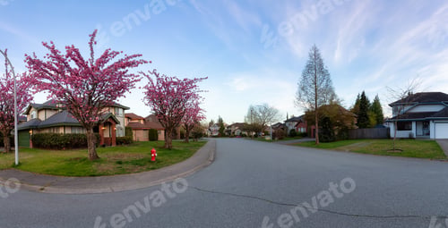 Preview: Residential neighborhood Street in Modern City Suburbs.