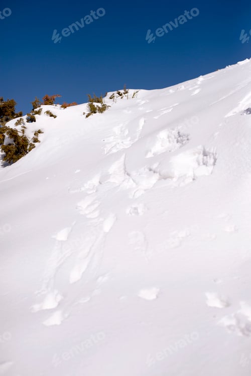 Preview: Footprint on snow mountain hill against blue sky