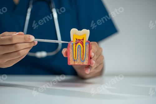 Preview: dentists writes reports of working with tooth models and analyzing dental treatments