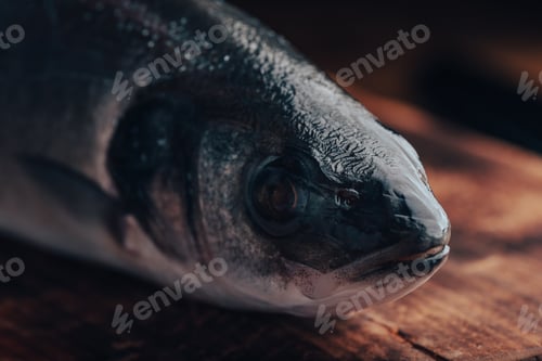 Preview: Close Up of Freshly Caught Sea Bass