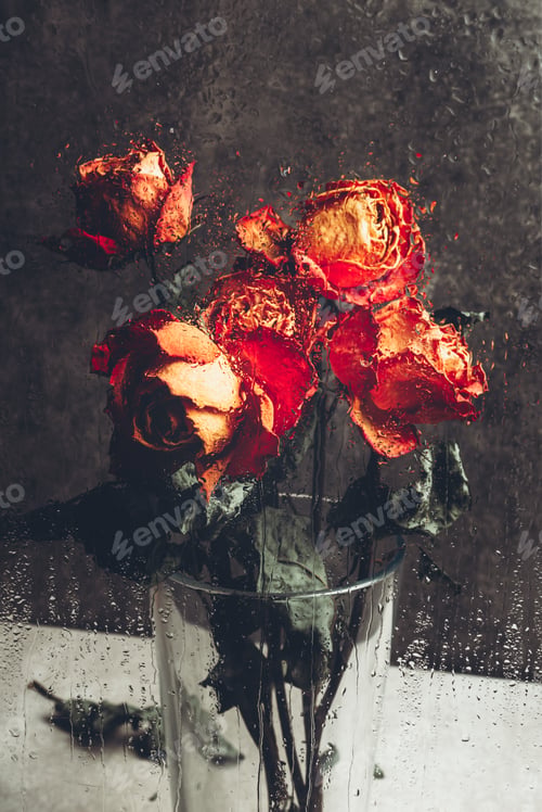 Preview: Bunch of beautiful faded flowers through the glass with rain drops