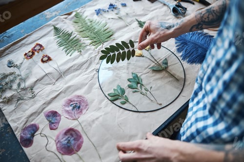 Preview: Young man herbalist making herbarium at home