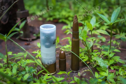 Preview: a bullet and its bullet cartridges on the ground in the grass