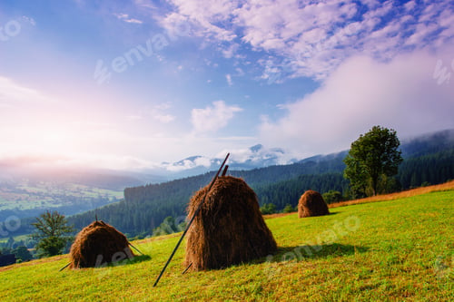 Preview: Beautiful sunny day is in mountain