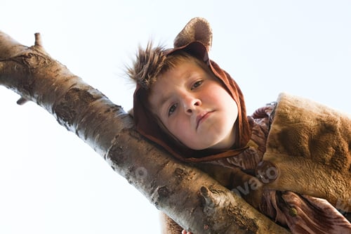 Preview: Boy dressed up as bear on tree branch