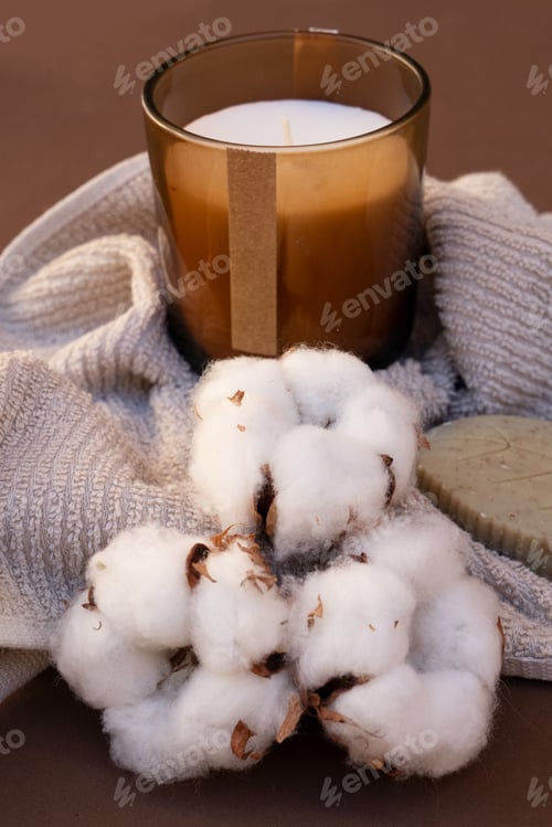 Preview: Cotton buds on brown